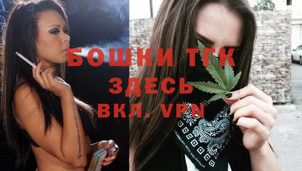 тгк Медвежьегорск