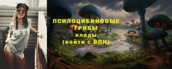 прущая мука Медногорск
