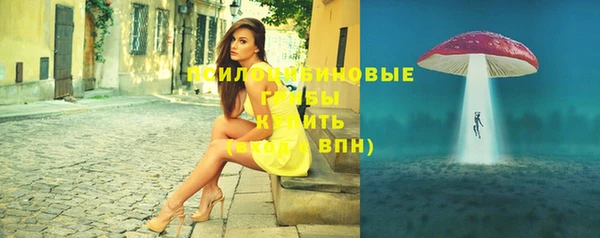 тгк Медвежьегорск