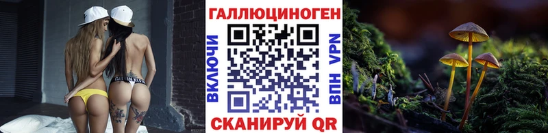где продают   Псков  Псилоцибиновые грибы Cubensis 