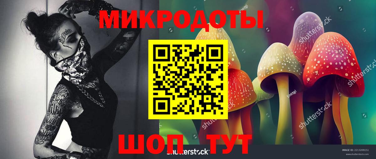 Псков  Псилоцибиновые грибы Cubensis  Вход с VPN  Галлюциногенные грибы прущие грибы 