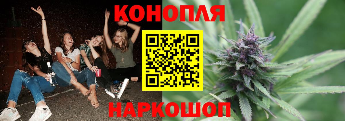 Бошки Шишки MAZAR Псков
